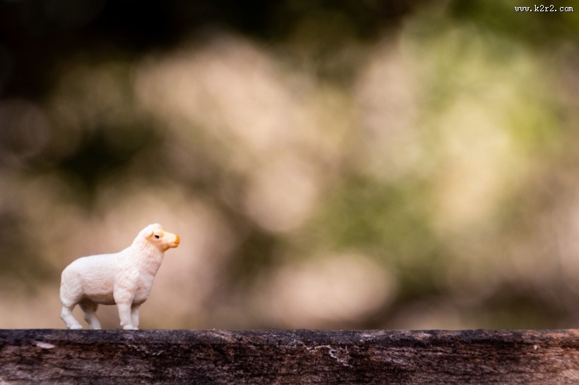动物玩具的微距摄影图片大全
