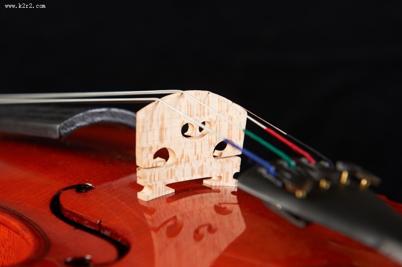 橘红色优雅的小提琴图片大全