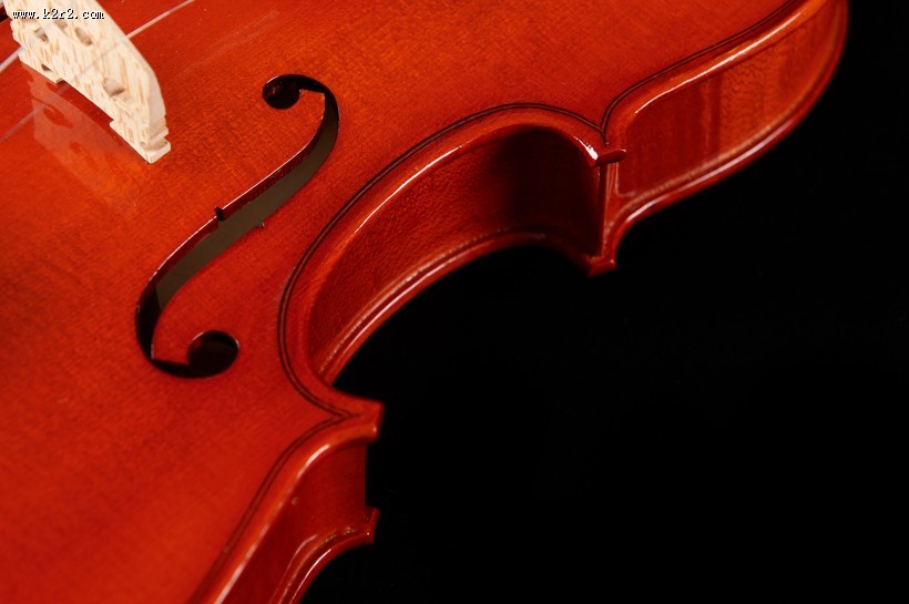 橘红色优雅的小提琴图片大全