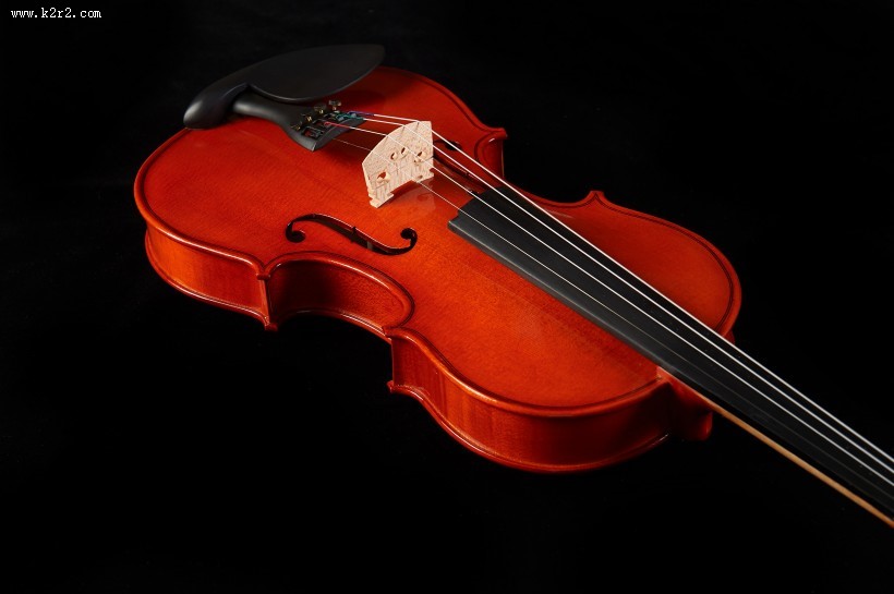 橘红色优雅的小提琴图片大全
