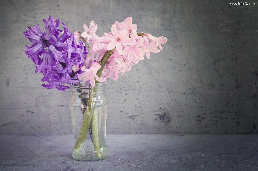 插着花的玻璃花瓶图片大全