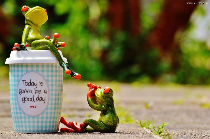 有趣的玩具青蛙图片大全