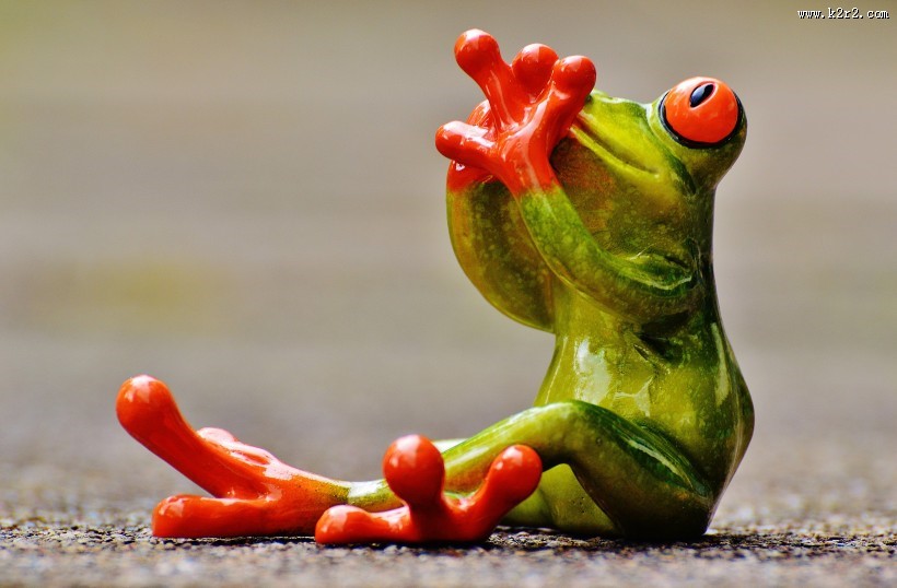 有趣的玩具青蛙图片大全