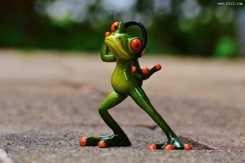 有趣的玩具青蛙图片大全