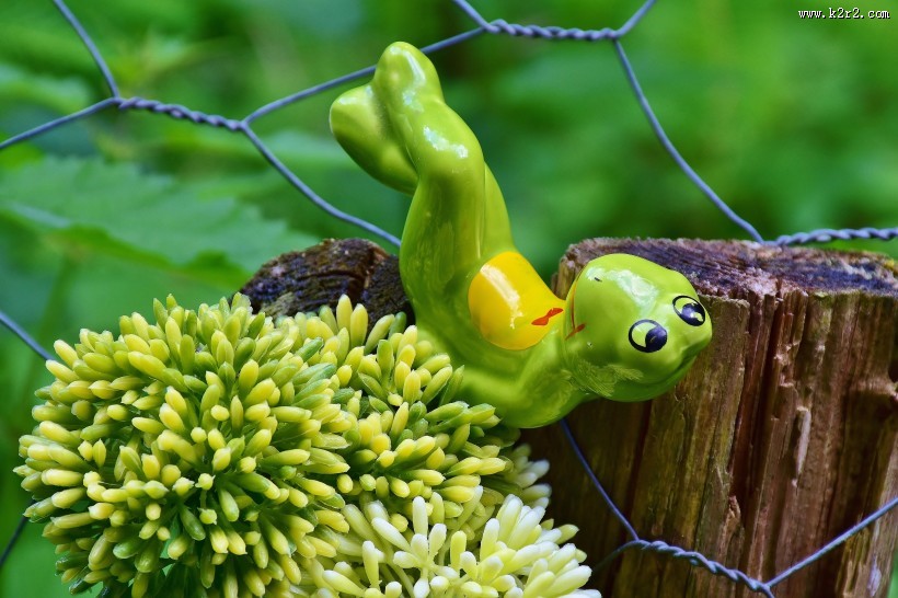有趣的玩具青蛙图片大全