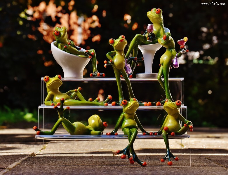 有趣的玩具青蛙图片大全
