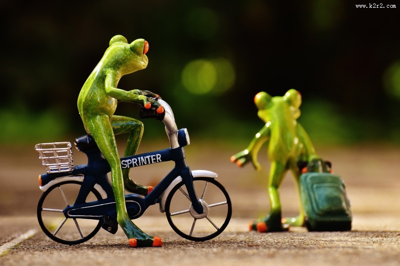 有趣的玩具青蛙图片大全