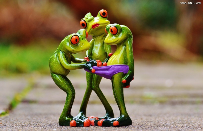 有趣的玩具青蛙图片大全