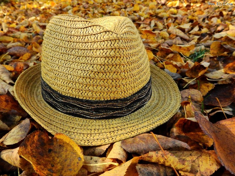 夏季出游必备的遮阳草帽图片大全