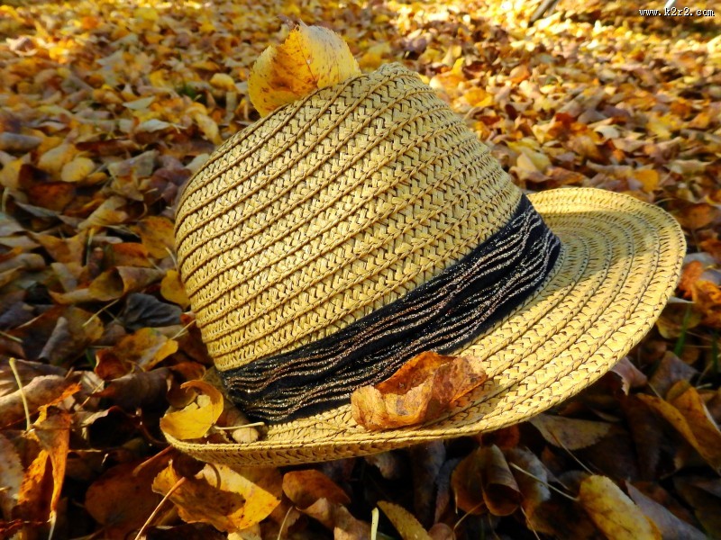 夏季出游必备的遮阳草帽图片大全