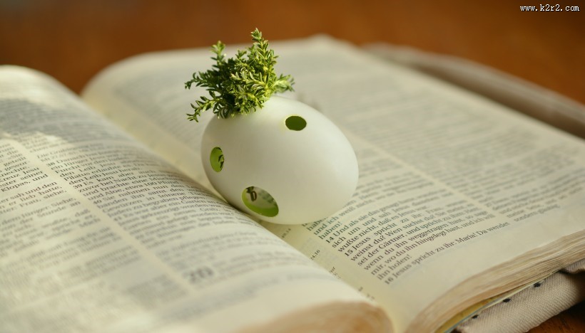 翻开的书籍图片大全