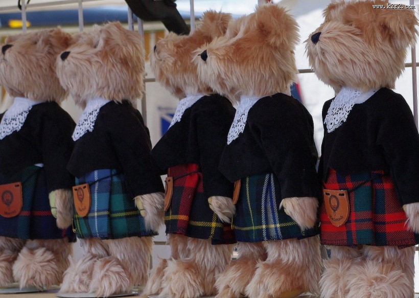 毛绒绒的玩具熊图片大全