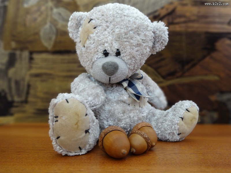 毛绒绒的玩具熊图片大全
