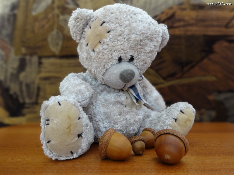 毛绒绒的玩具熊图片大全