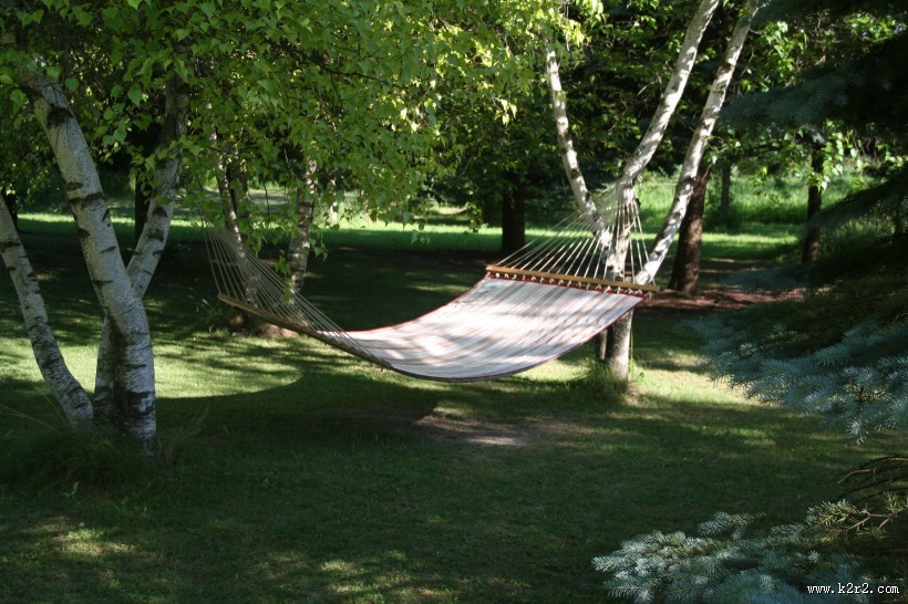 沙滩森林里的吊床图片