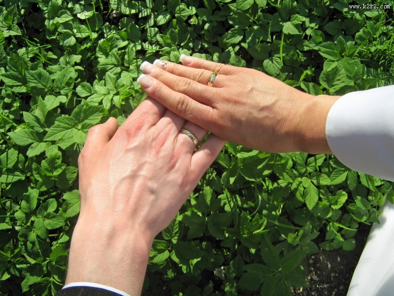 带着结婚戒指的手图片