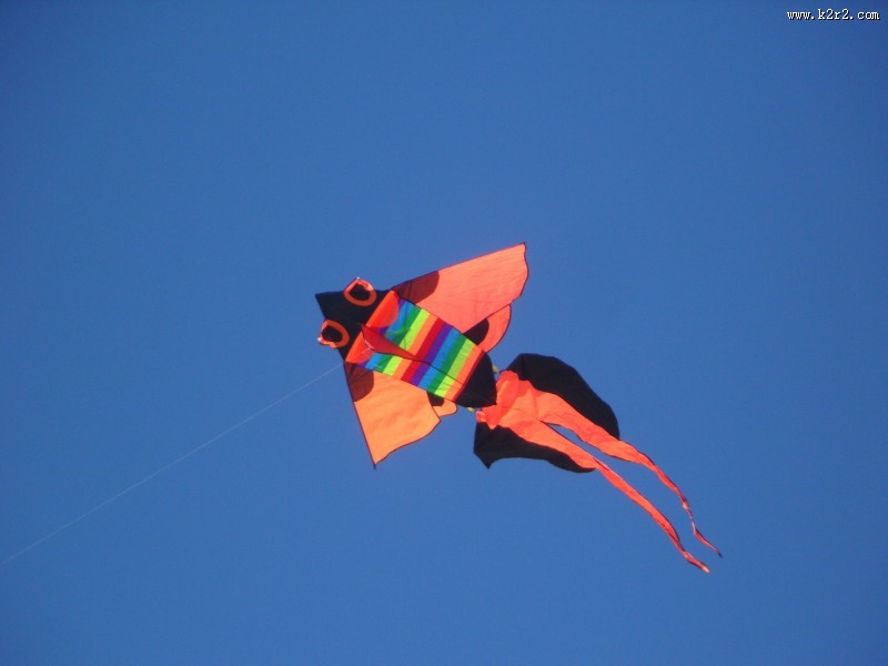 天空中的风筝图片