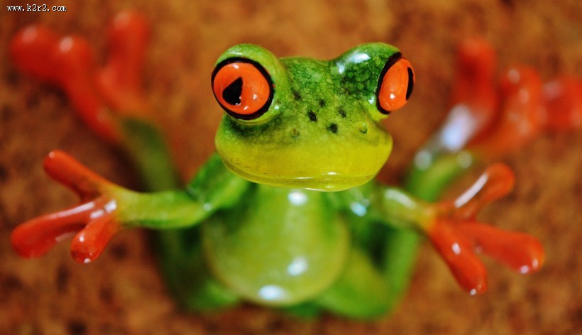 有趣的青蛙摆件图片大全