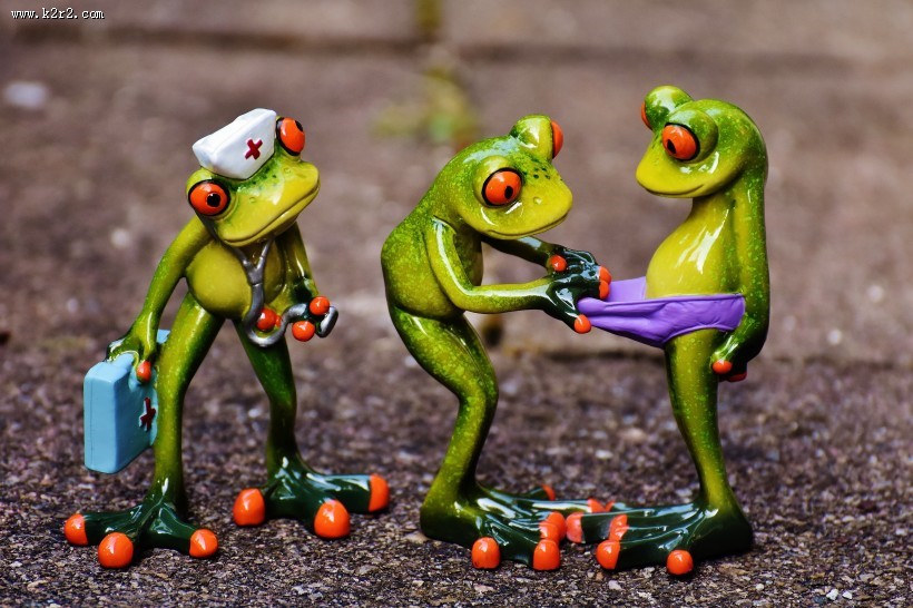 有趣的青蛙摆件图片大全