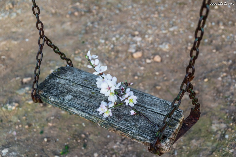 童年里的秋千图片