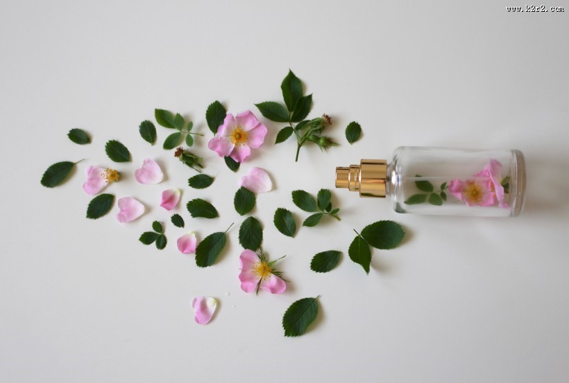 玫瑰中的护肤品图片