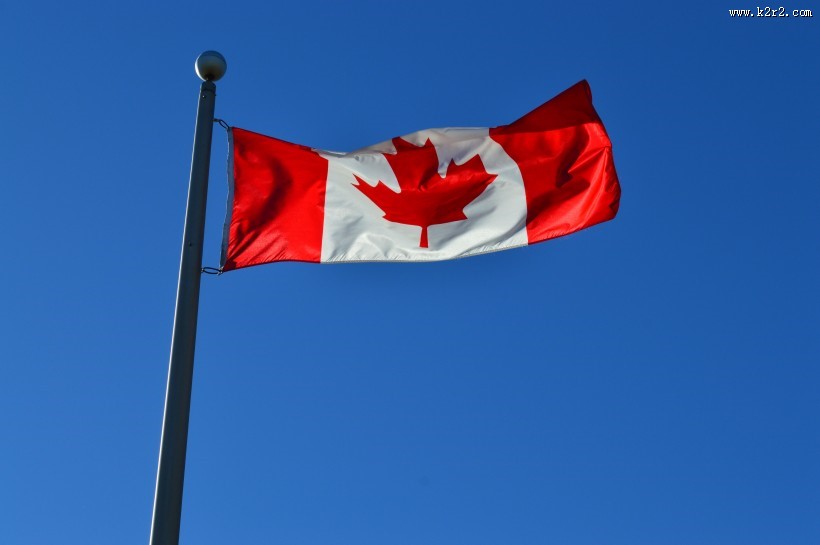 飘扬的加拿大国旗图片