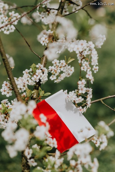 波兰国旗的图片