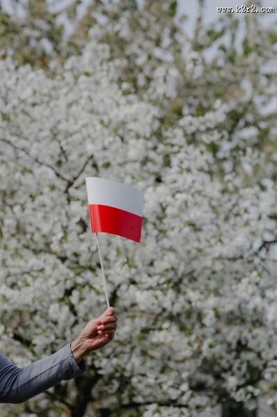 波兰国旗的图片