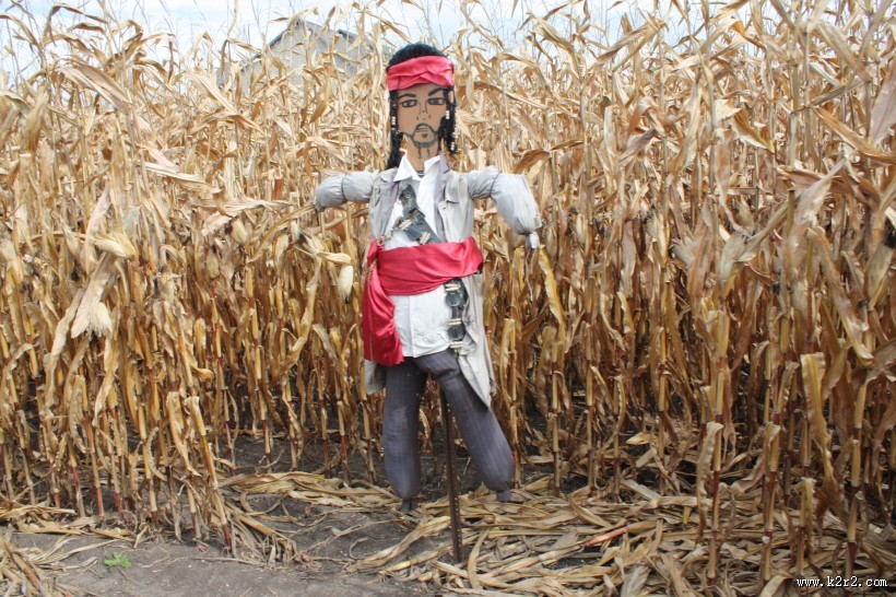 驱赶鸟类的稻草人图片