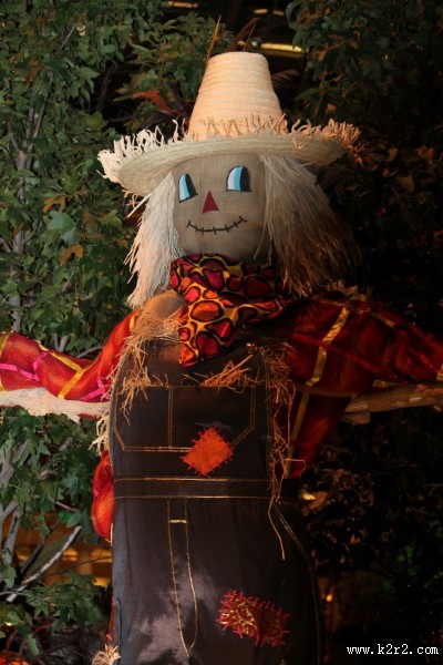 驱赶鸟类的稻草人图片