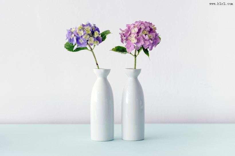 插满鲜花的花瓶图片大全