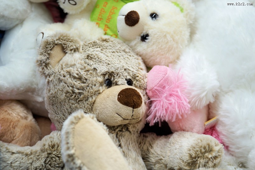 毛绒绒的玩具熊图片大全