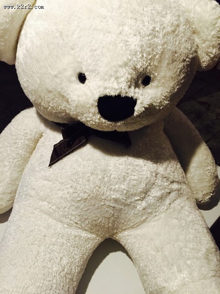 可爱的玩具熊图片大全