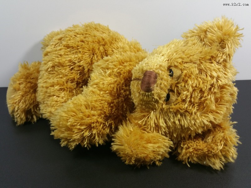 泰迪熊玩具图片