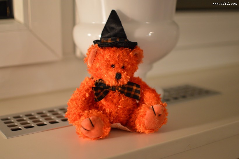 泰迪熊玩具图片