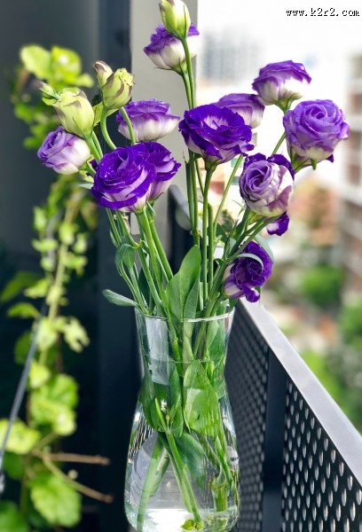 精美的花瓶图片