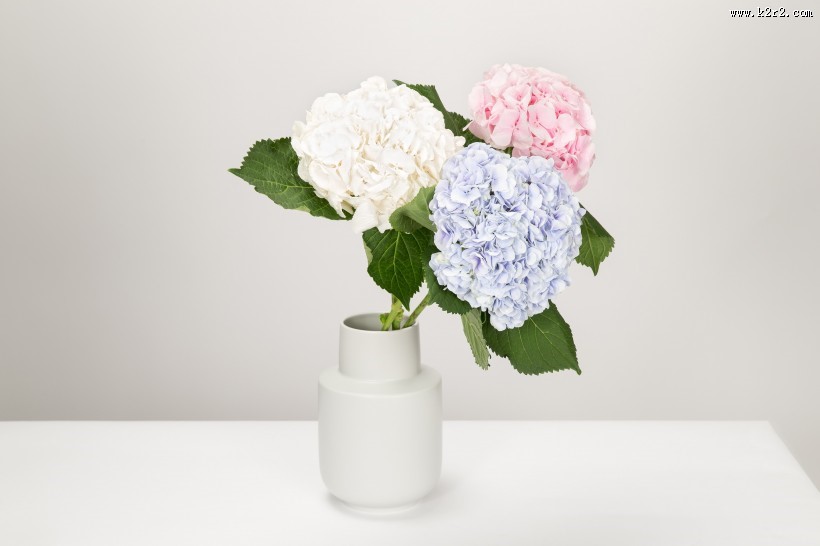 精美的花瓶图片