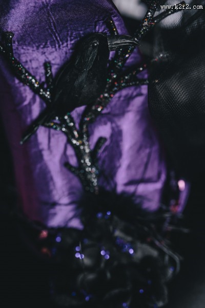 万圣节装饰品的图片