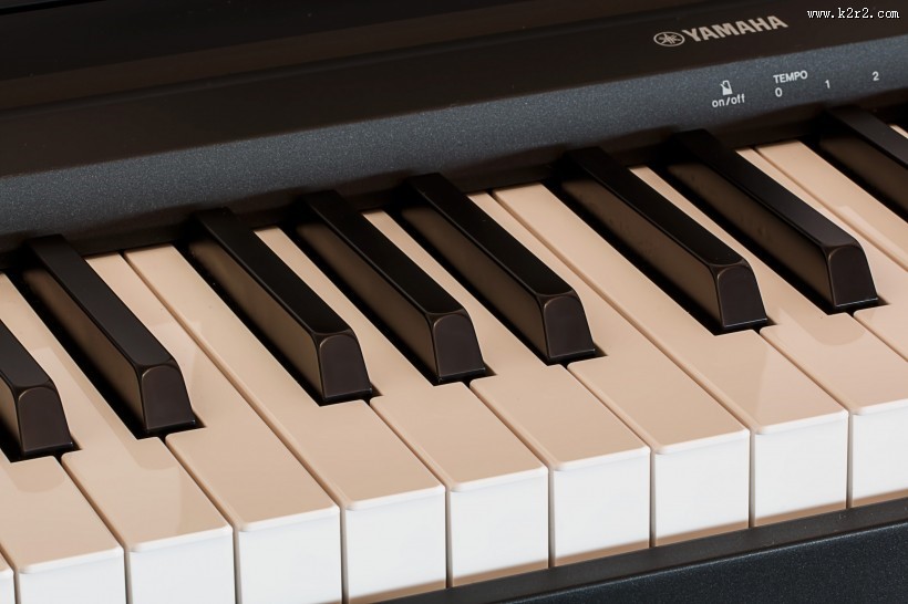 钢琴键盘图片