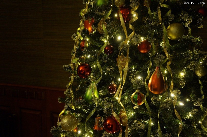 装饰精美的圣诞树图片