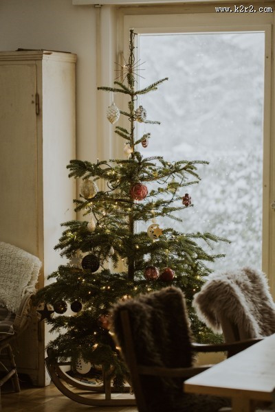 装饰精美的圣诞树图片