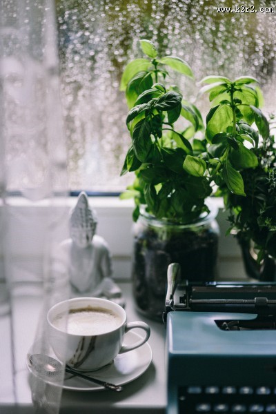 使用旧打字机的雨天图片