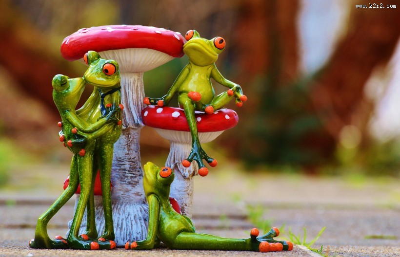 有趣的青蛙情侣摆件图片大全