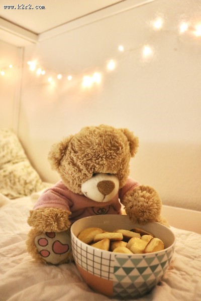 可爱的玩具熊图片