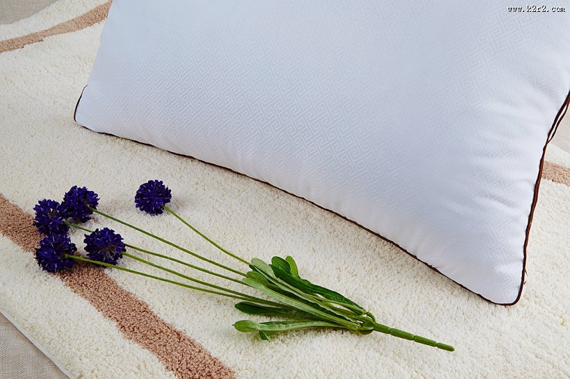 白色枕芯图片