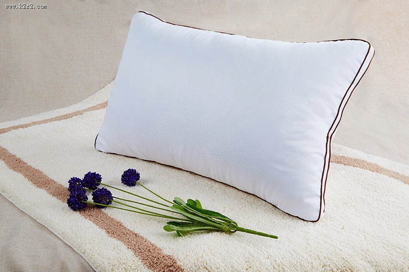 白色枕芯图片