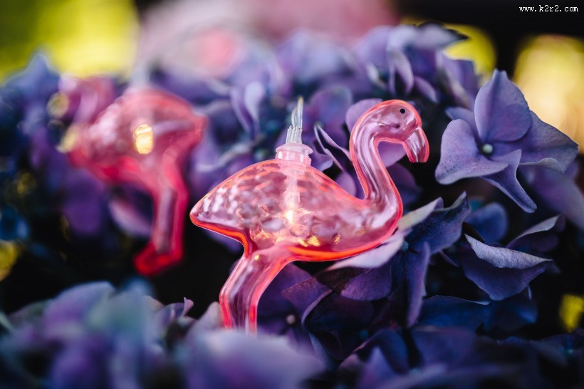 粉红火烈鸟图案的图片