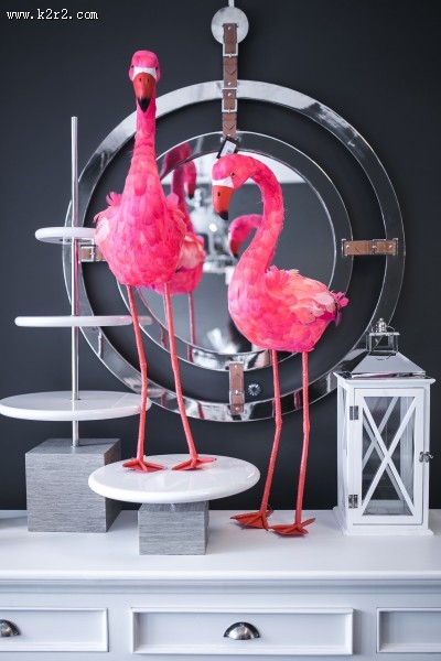 粉红火烈鸟图案的图片