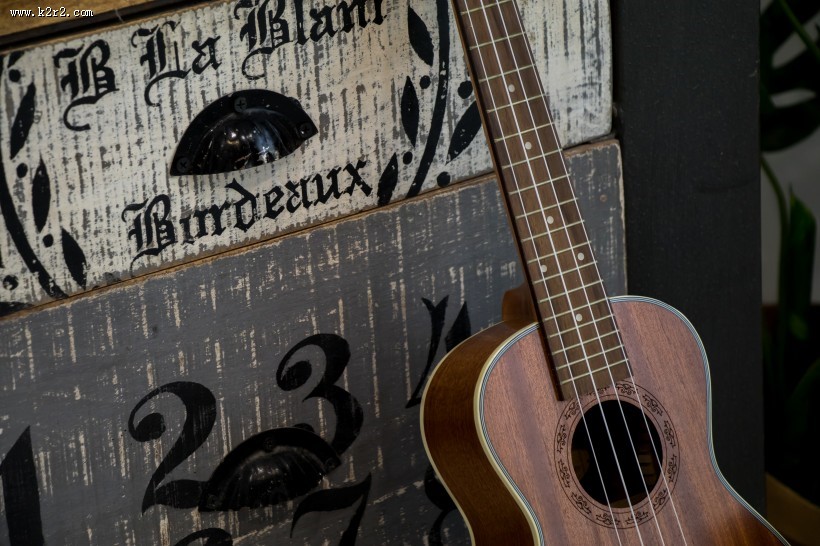 小清新感十足的尤克里里图片大全