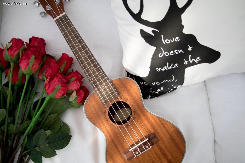 小清新感十足的尤克里里图片大全